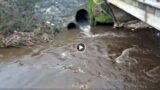 Il depuratore che non depura. Accade a Fiuggi. Legambiente denuncia: ad alto rischio il lago di Canterno (video)