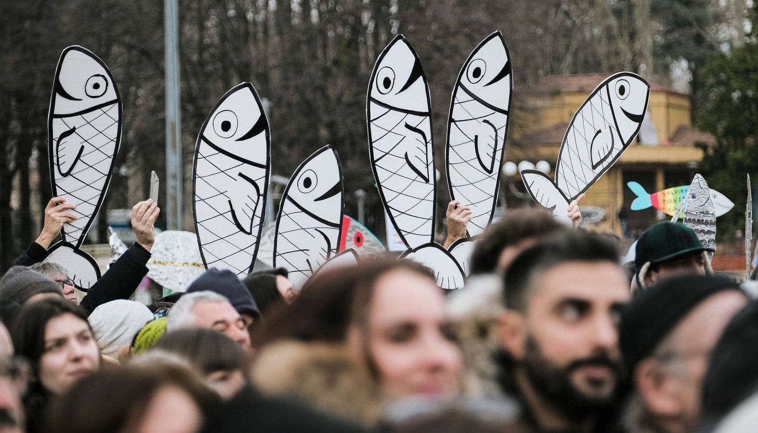 le sardine