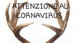 Virginia vieterà di fare l’amore: ma non è CornaVirus