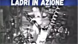 Roma fuori controllo. Ladri in azione al III Municipio (video)