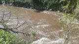 Allarme Aniene. Il fiume è marrone da stamattina (video)