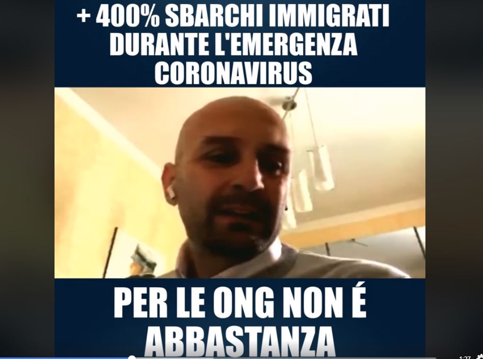 procaccini ong