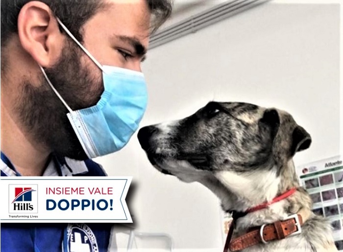 diritti degli animali e raggi (2)