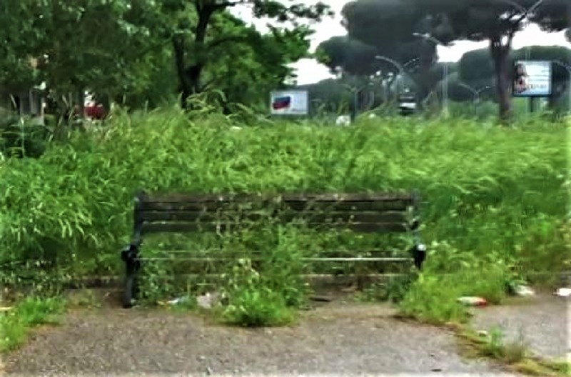 parchi abbandonati (2)