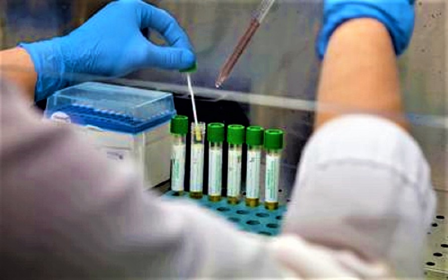 corona virus vaccino oms (2)