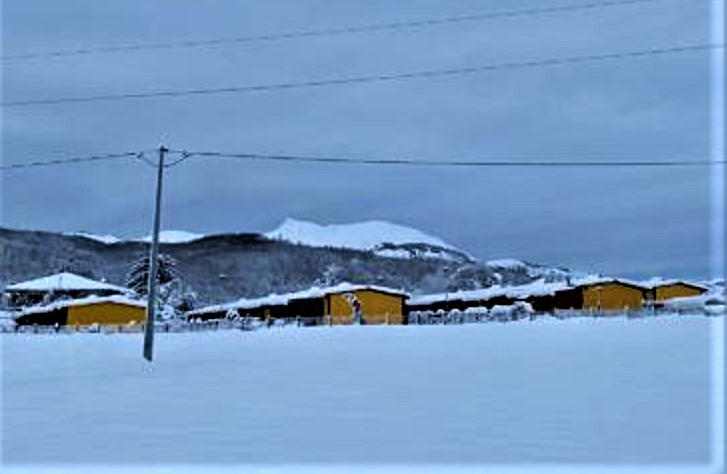 amatrice (2)