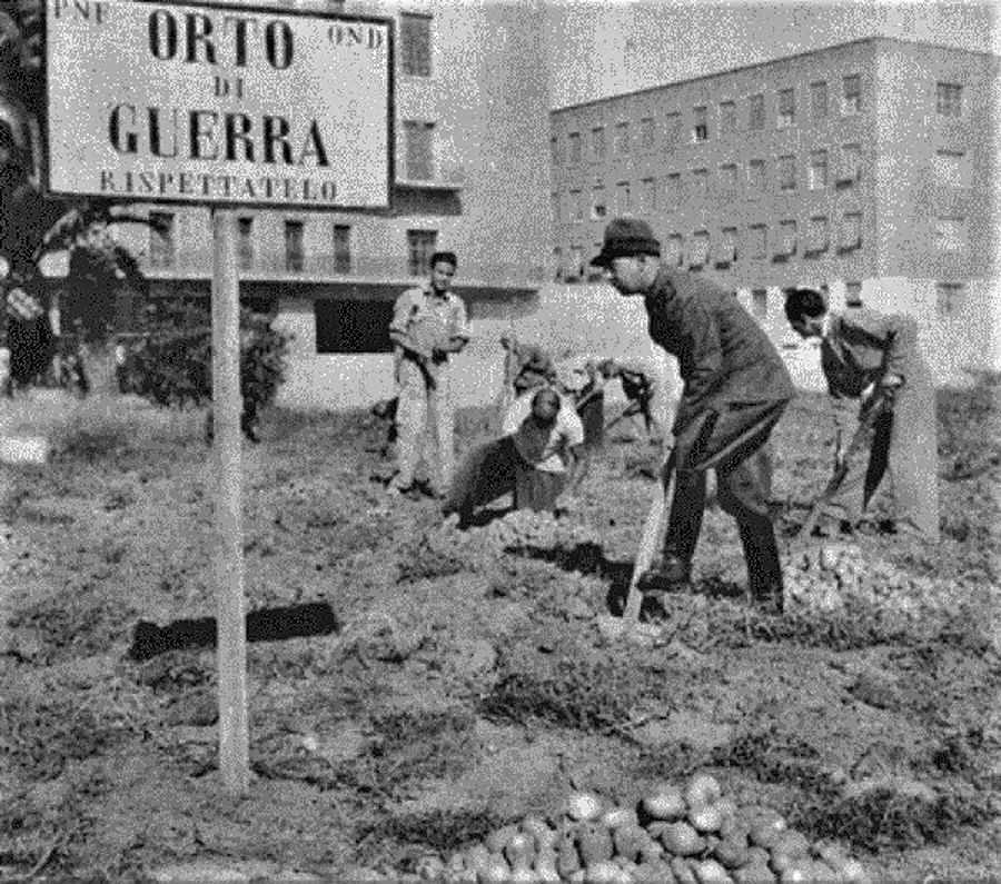 orti di guerra sostenibilecom (2)