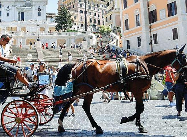 Botticelle, il Consiglio di Stato dà ragione ai vetturini. Bocciato il regolamento del comune