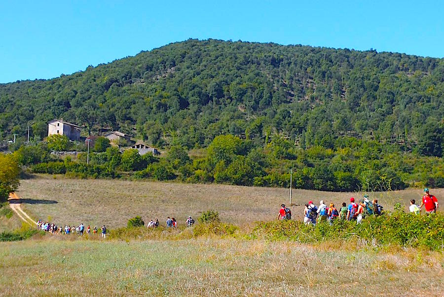 via francigena