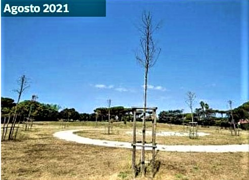 giardino della giustizia (2)