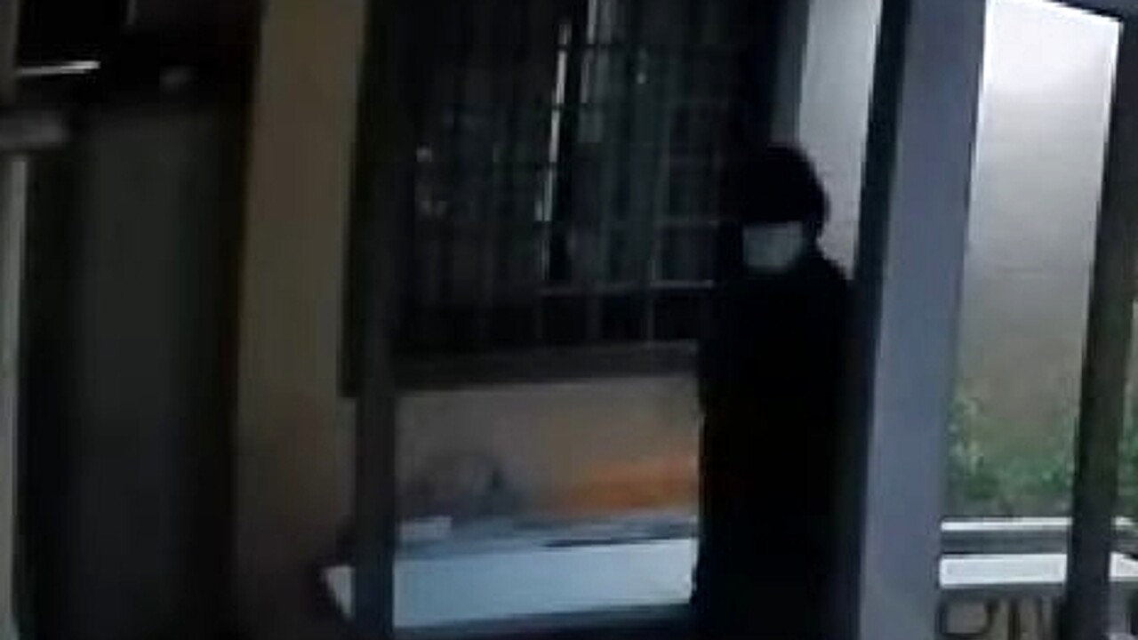 rapinatore La Rustica