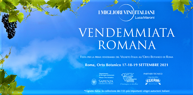 vendemmiara romana (2)