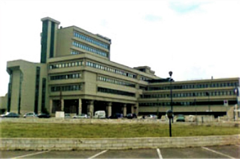 tribunale di frosinone (2)