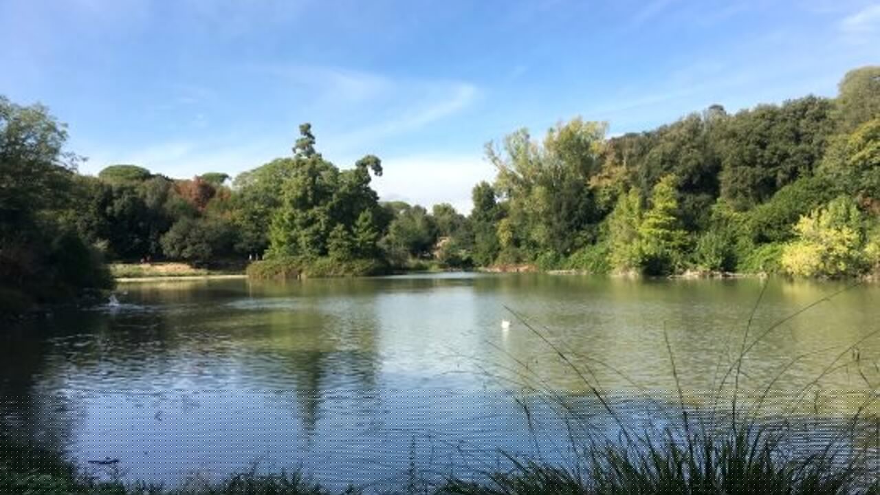 Aviaria a Villa Pamphili, chiuso il parco vicino al laghetto