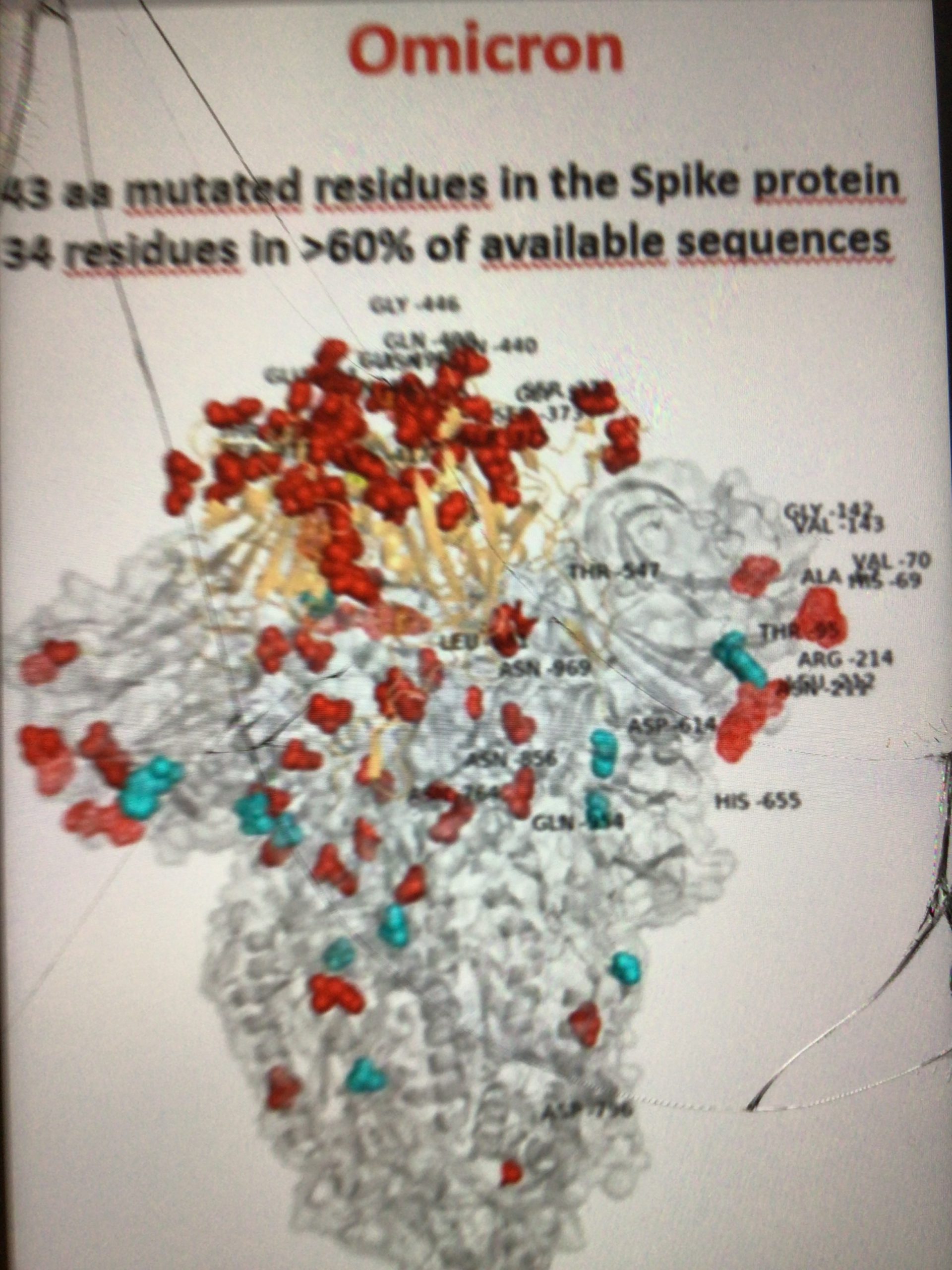Covid, arriva la variante Omicron dal Sud Africa. Nuove restrizioni per Natale