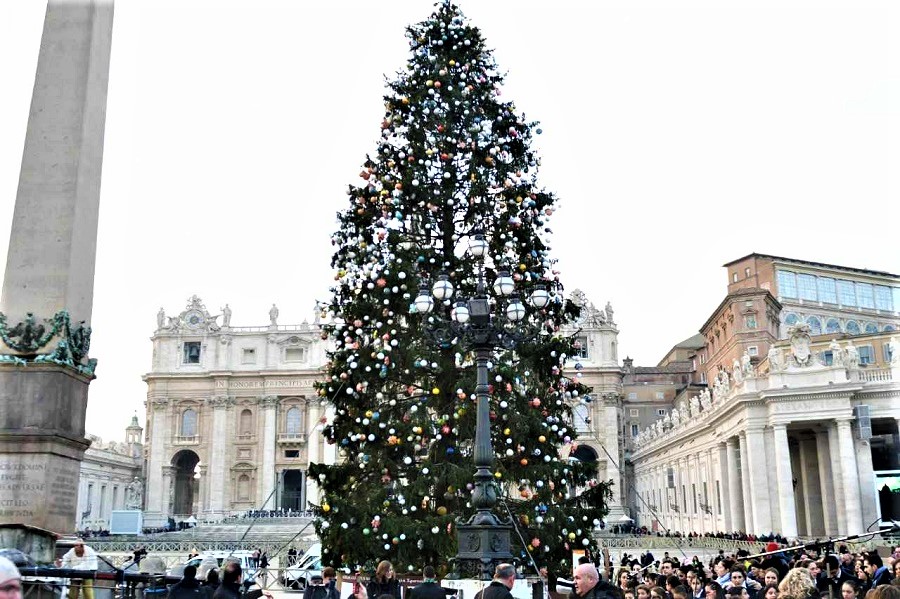 albero di natale (2)