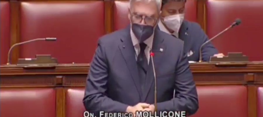 Federico Mollicone