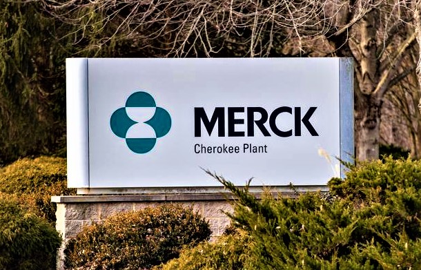 Ma che cos’è e come funziona la nuova pillola anti-Covid della Merck