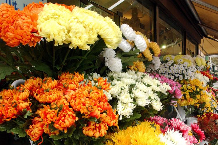 Verso un San Valentino senza fiori: i vivai nazionali messi in ginocchio dai rincari