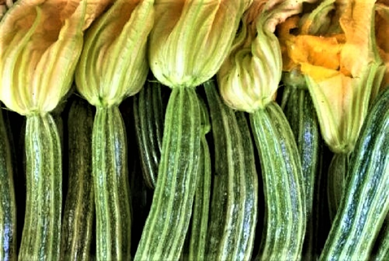 La celebre zucchina romanesca ora ha un marchio collettivo registrato