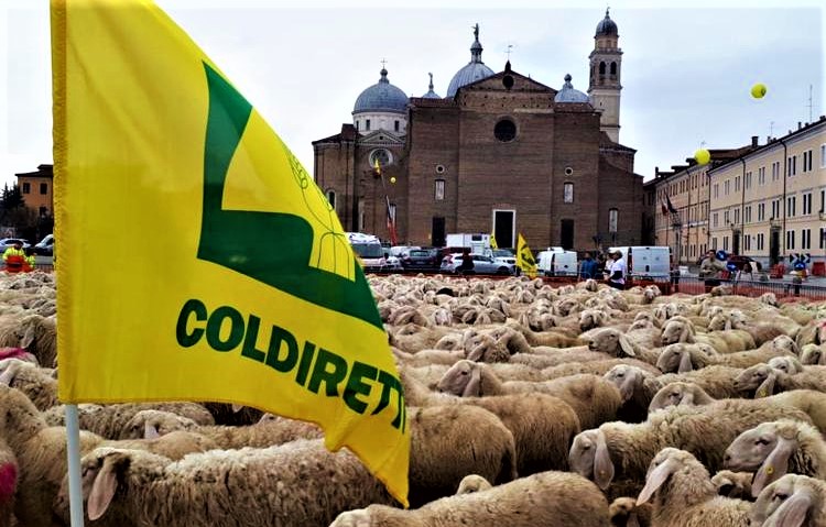 manifestazione allevatori e coltivatori (2)