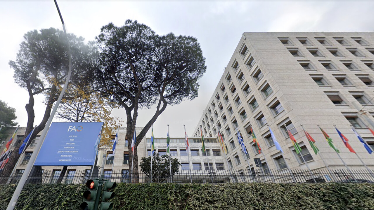 Incredibile, la FAO nata per sconfiggere la fame nel mondo manda a casa i dipendenti della mensa