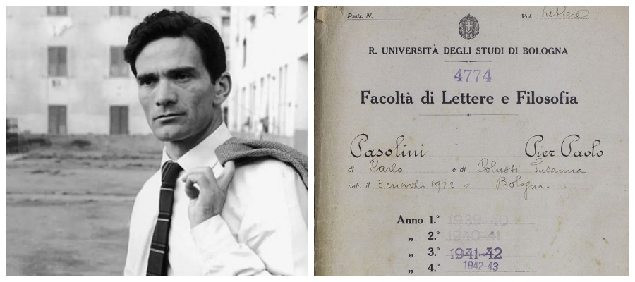 Pasolini laurea