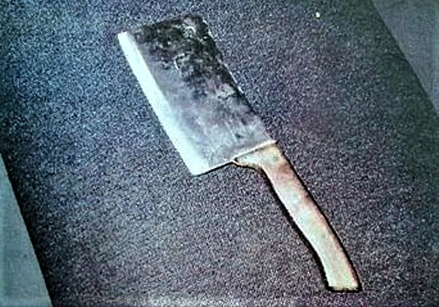 mannaia taser (2)
