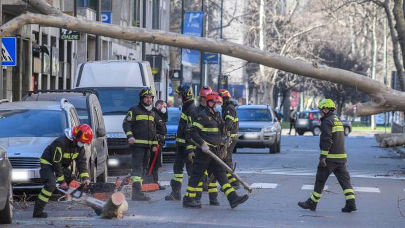 Alberi pericolanti, due donne ferite, una grave. Non se ne può più