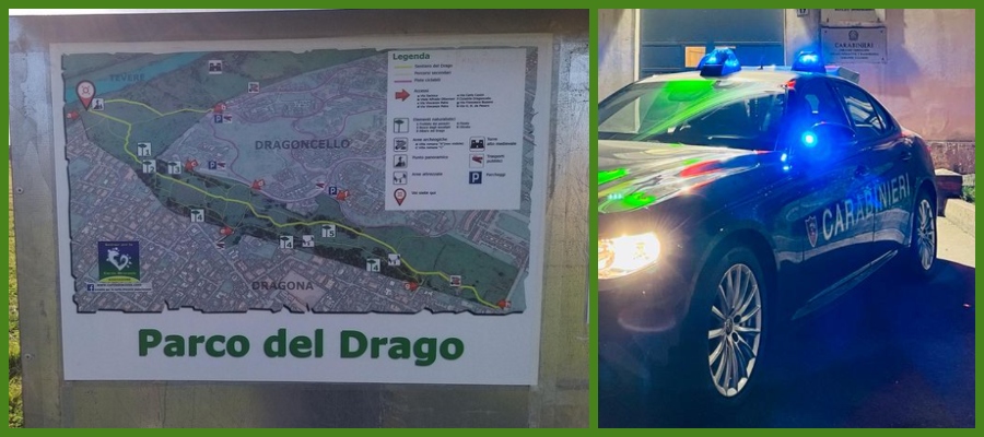 Dragona, donna morta