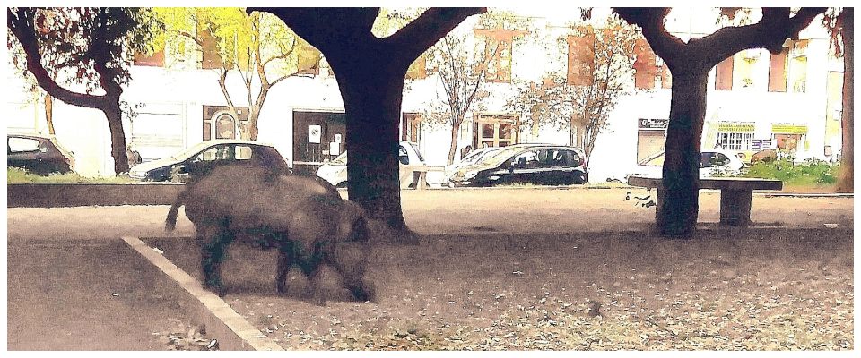 cinghiale viale mazzini