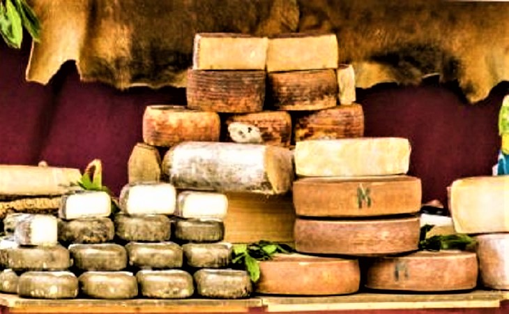 salone del formaggio (2)
