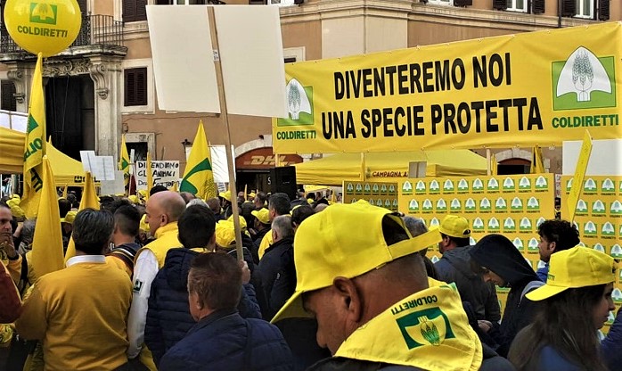 coldiretti cinghiali (2)