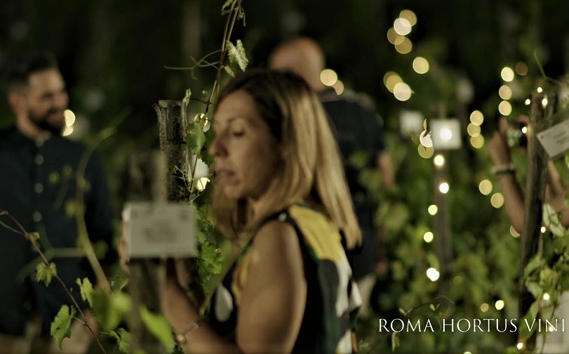 Roma Hortus Vini (2)