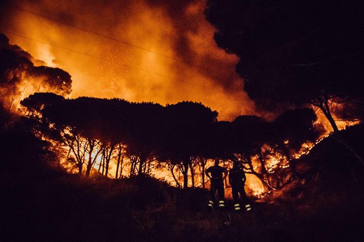 incendi dolosi