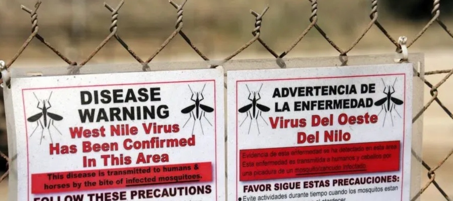 virus West Nile