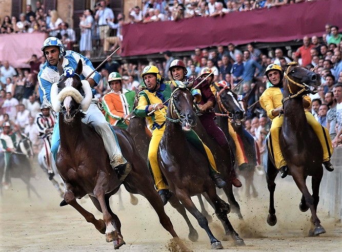 palio di siena (2)