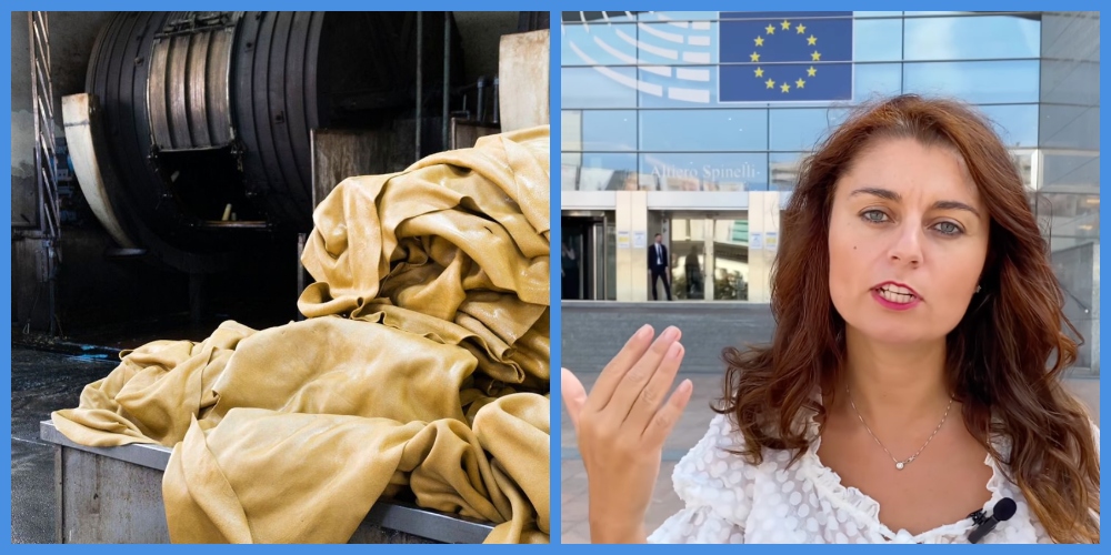 Susanna Ceccardi, Ue, deforestazione