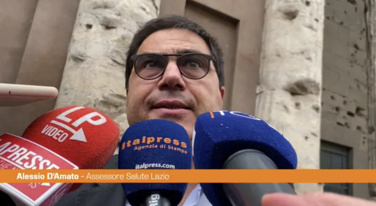 D'Amato inceneritore