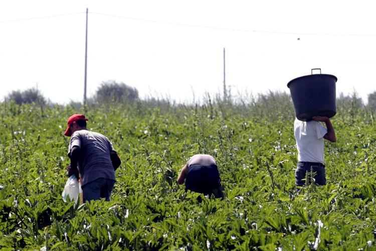 “Eccessivo indebitamento” delle cooperative Karibù e Aid: ma non pagavano i lavoratori