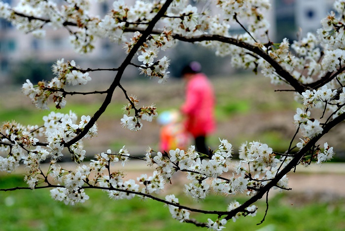 Natale? In Italia sarà “subtropicale”: sole e temperature quasi primaverili, fino a 25° in Sicilia