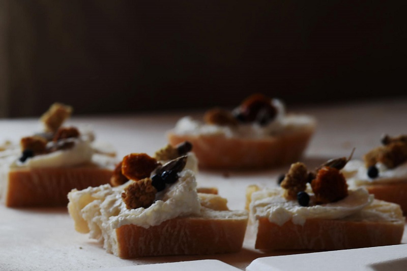 insetti cibo
