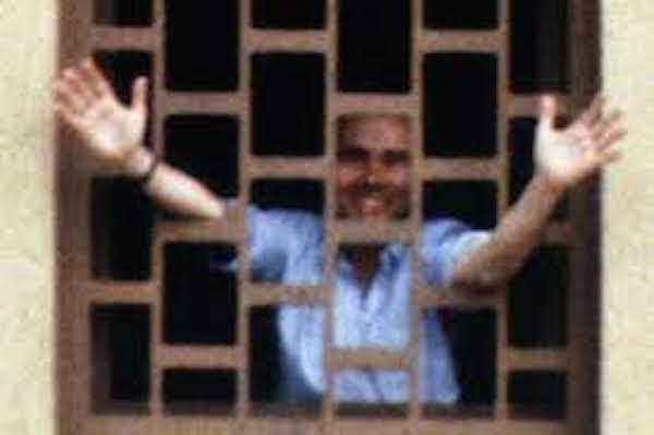 enzo tortora