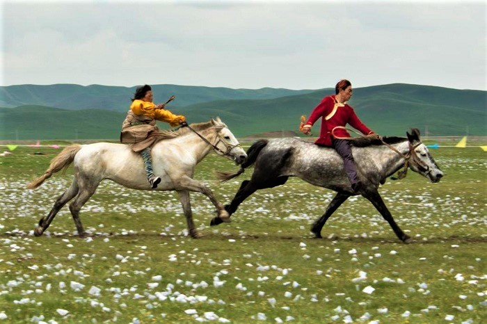borgetto tibet (2)