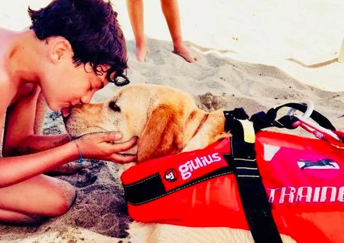 cani da salvataggio (2)