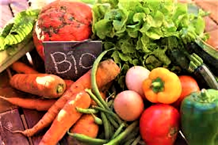 cibo biologico (2)