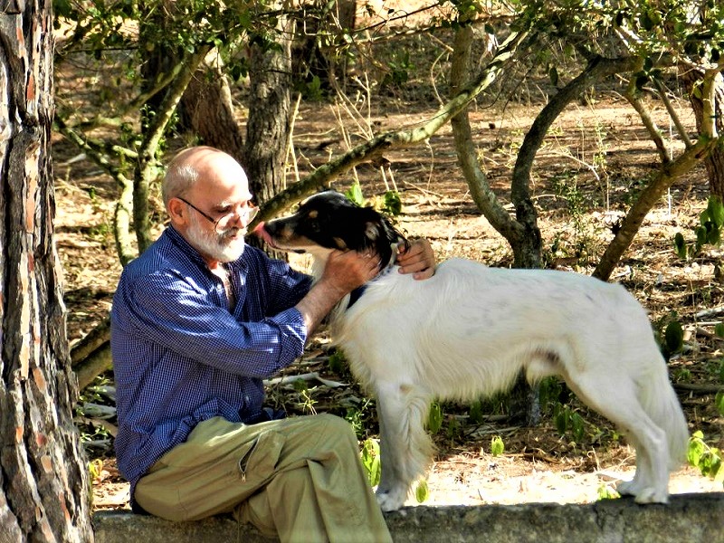 pino rigido (2)