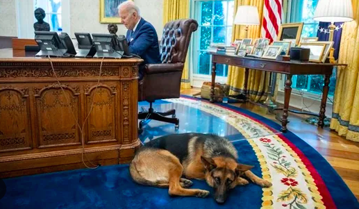commander biden