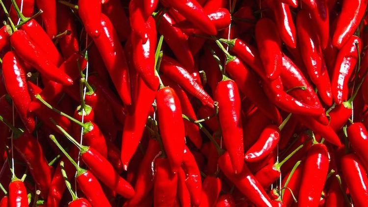 peperoncino calabrese - 1