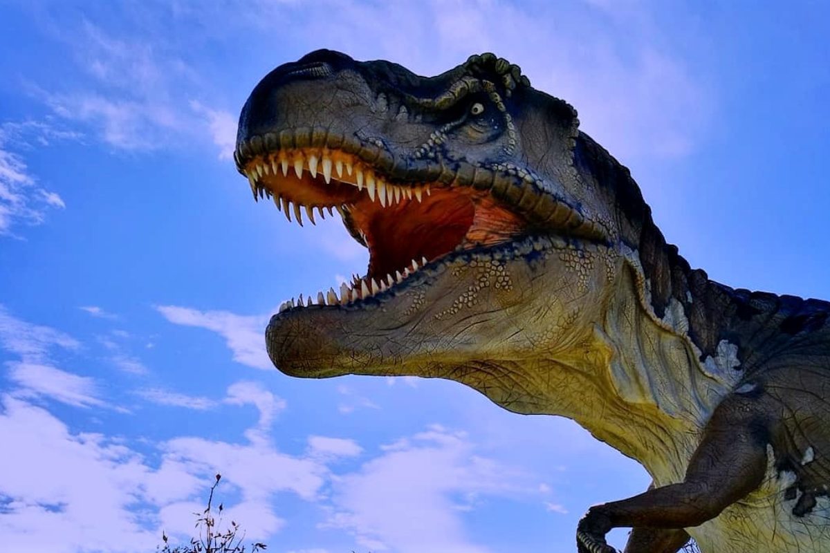 Nel complesso del San Giovanni arrivano i dinosauri con Scientopolis